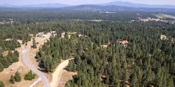 Image 4 Image 4