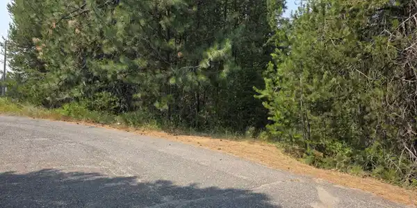 Image 4 Image 4
