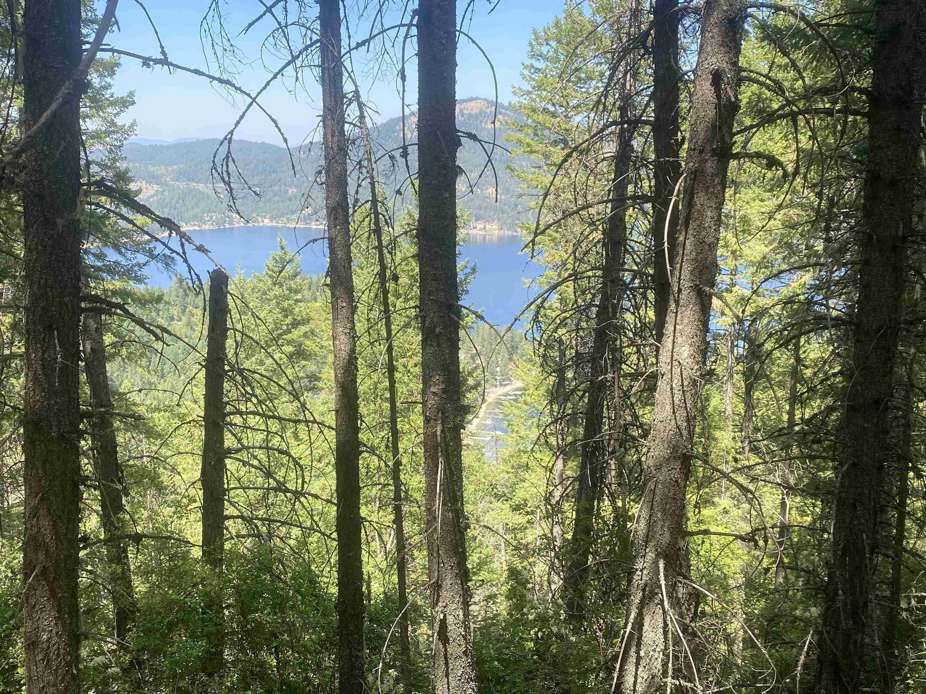 Image 1 Image 1
