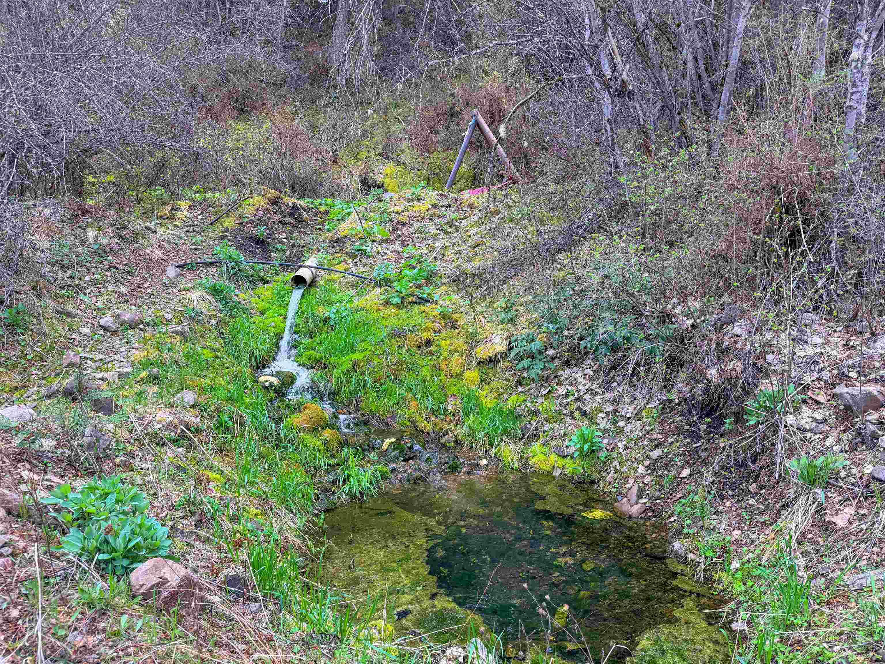 Image 3 Image 3
