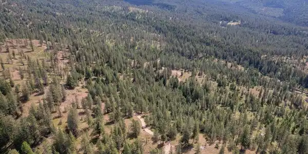 Image 4 Image 4