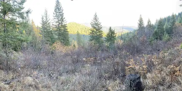 Image 3 Image 3