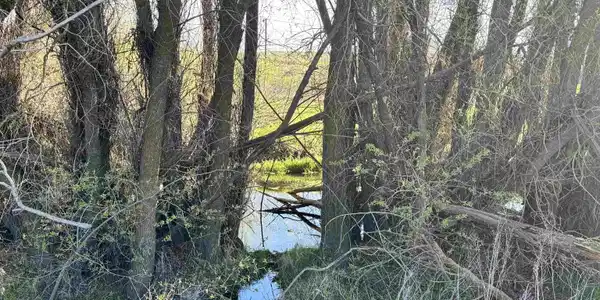 Image 4 Image 4