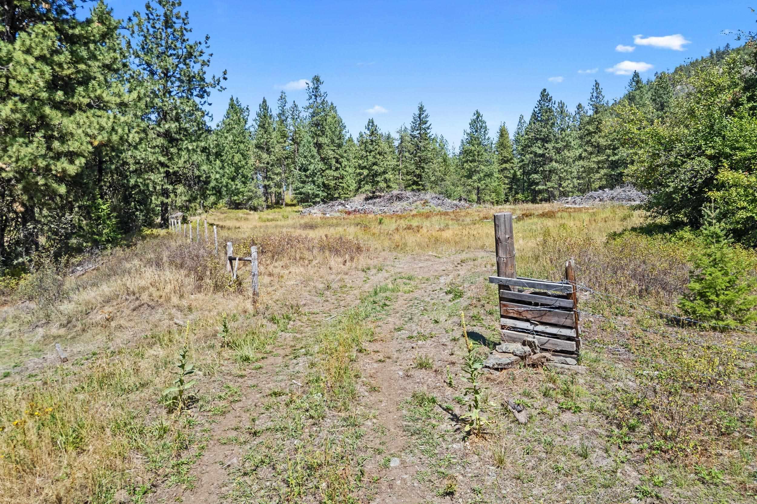 Image 4 Image 4