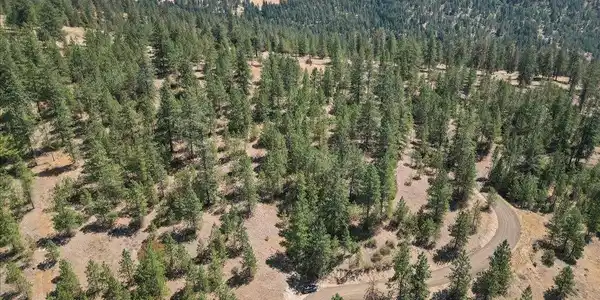 Image 4 Image 4
