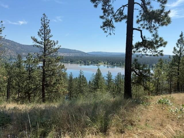 Image 1 Image 1