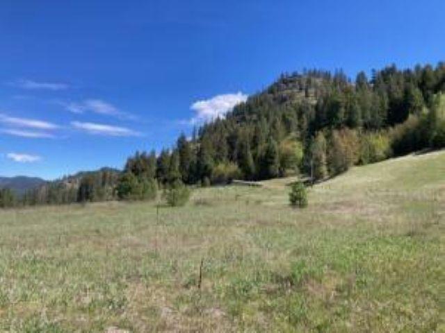 Image 3 Image 3