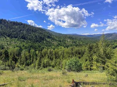 3499-TBD Waitts Lake South Rd