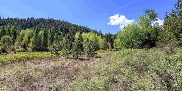 Image 3 Image 3