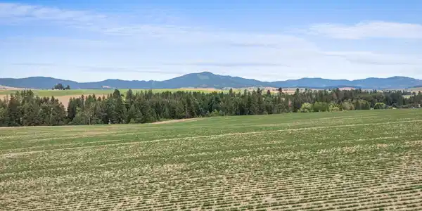 Image 3 Image 3