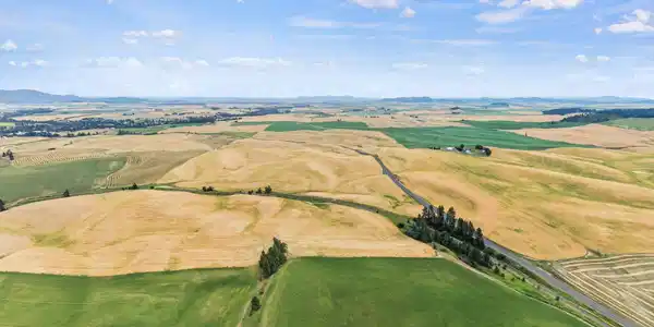 Image 2 Image 2