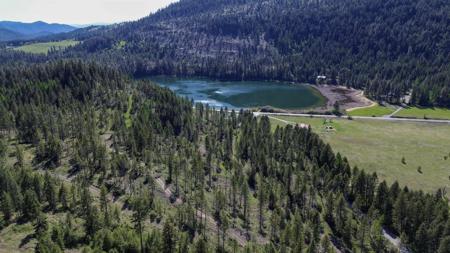 16-TBD Williams Lake Rd