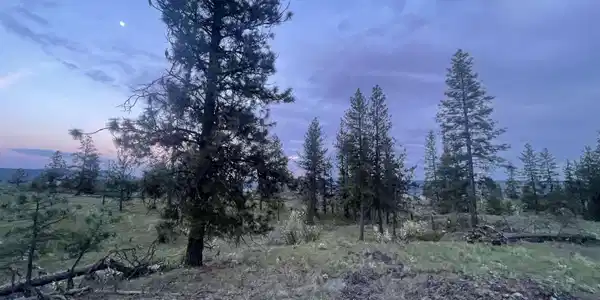 Image 3 Image 3