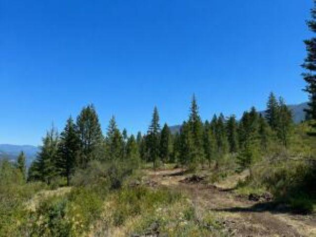 Image 2 Image 2