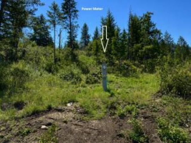 Image 4 Image 4