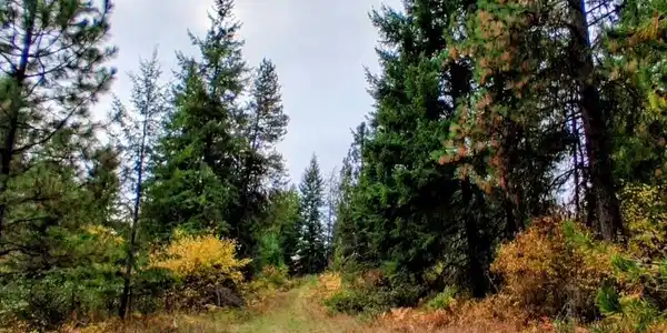 Image 3 Image 3