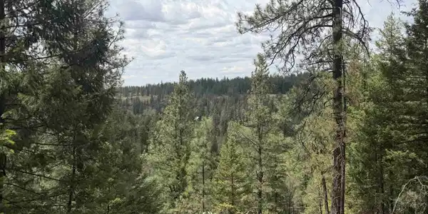 Image 3 Image 3