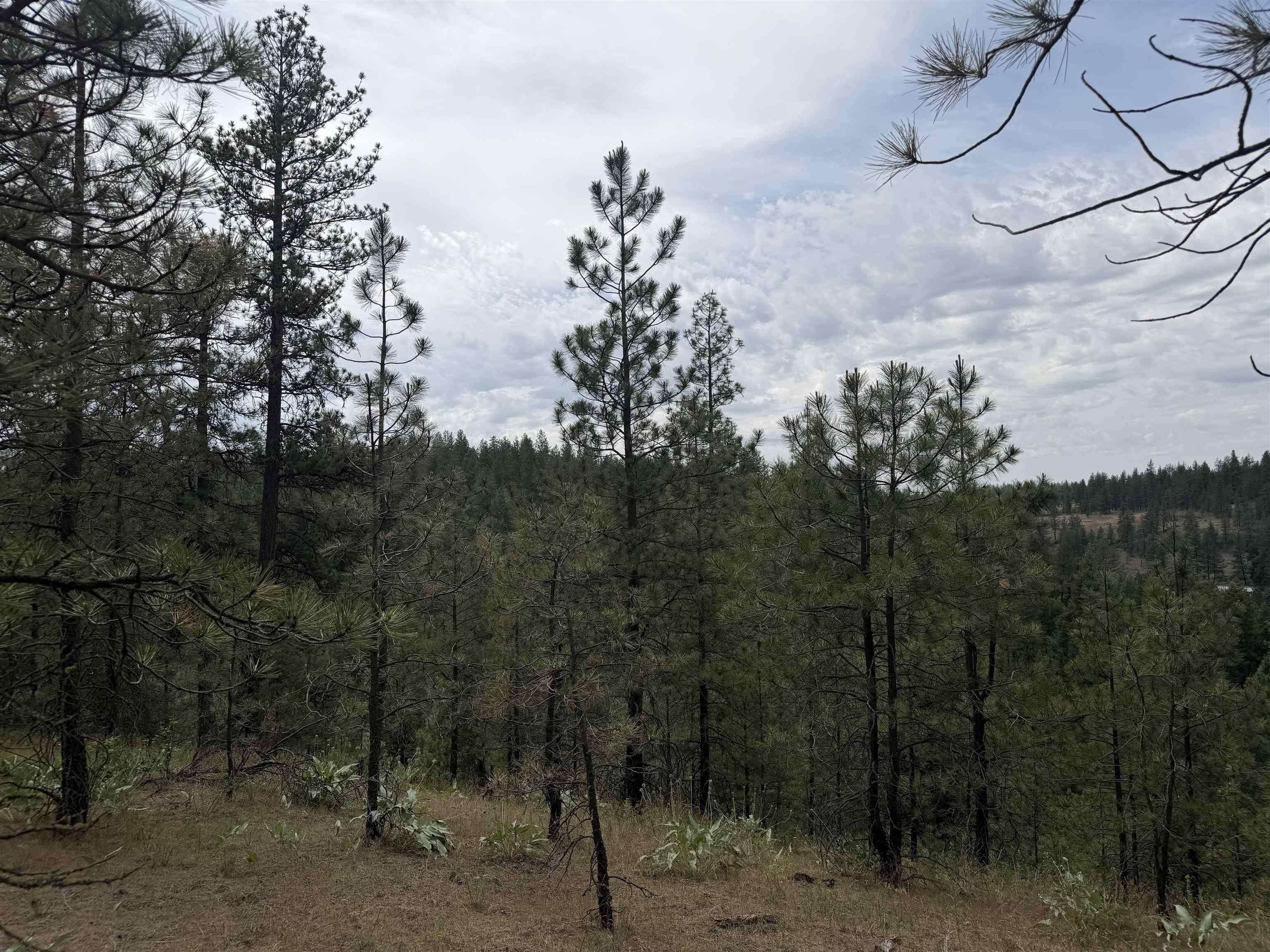 Image 4 Image 4