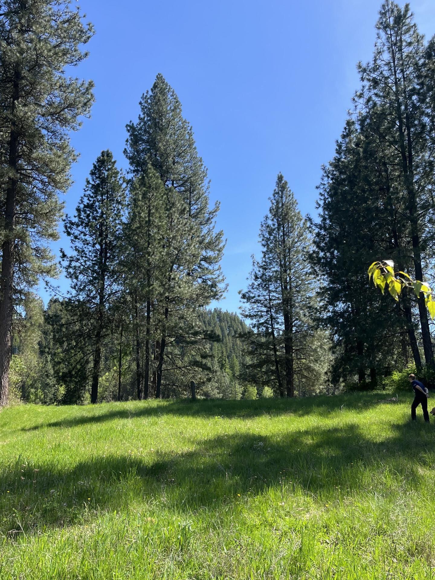 Image 3 Image 3