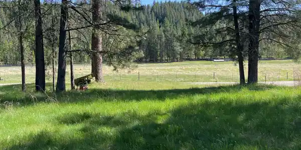Image 4 Image 4
