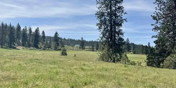 Image 3 Image 3