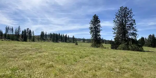 Image 4 Image 4