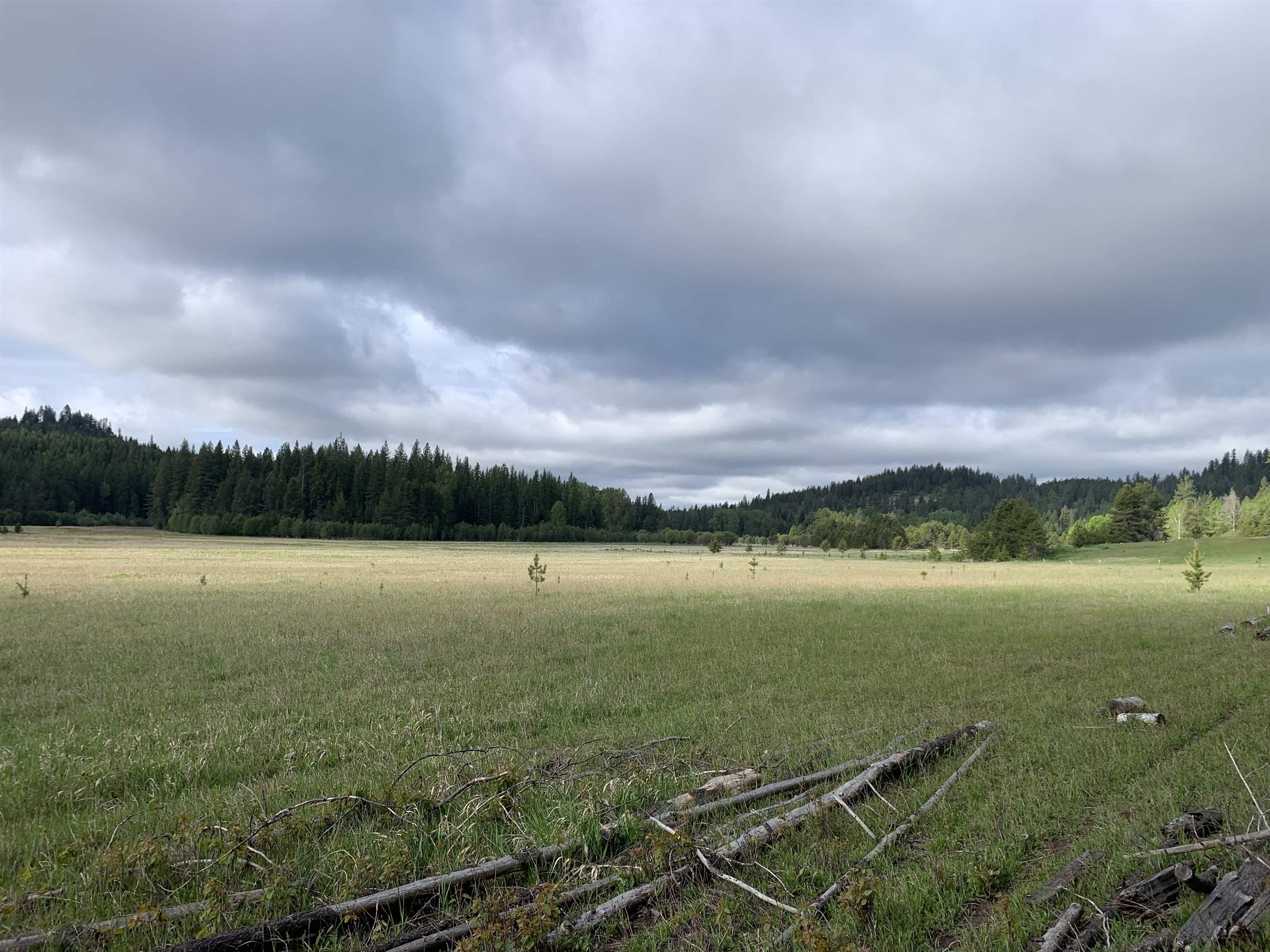 Image 3 Image 3