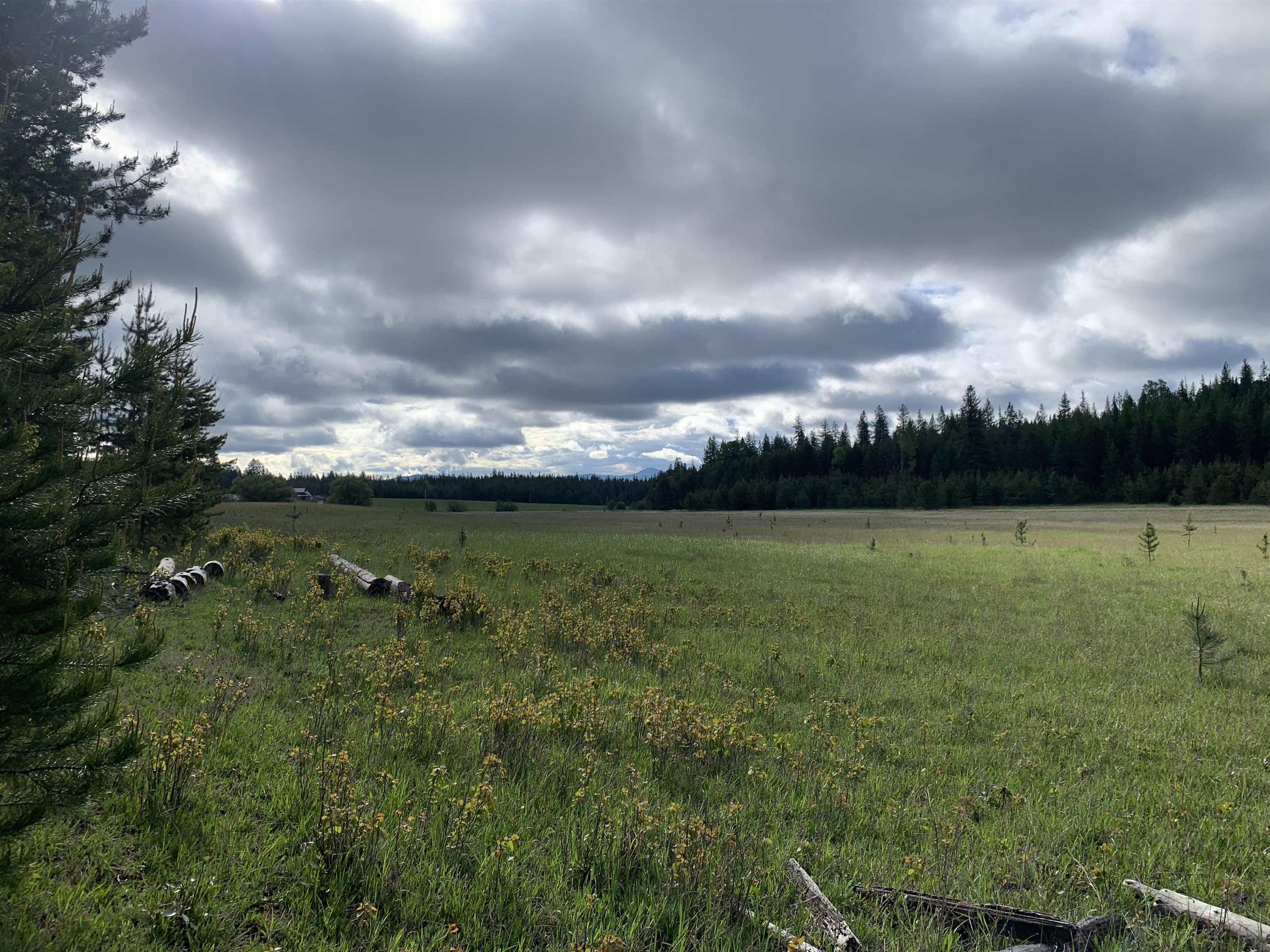 Image 4 Image 4