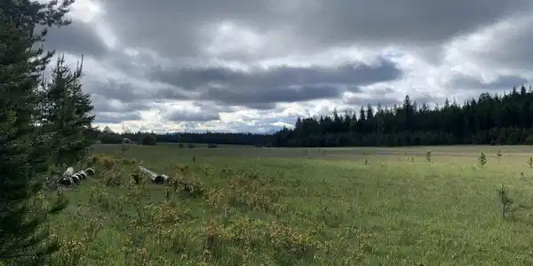 Image 4 Image 4