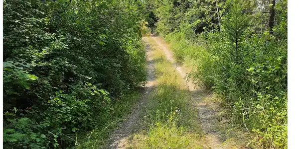 Image 3 Image 3