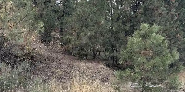 Image 3 Image 3