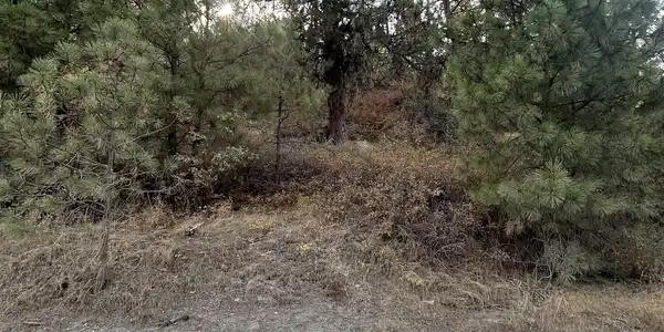 Image 4 Image 4