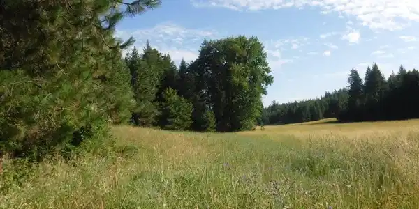 Lot 1 SW Moose Ridge Way