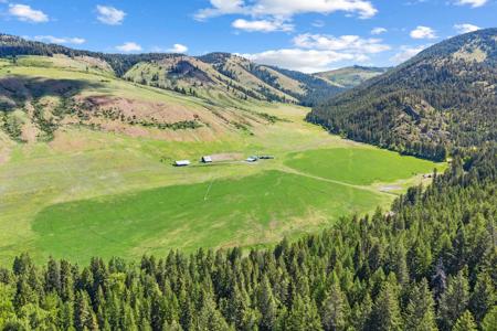 361 Lone Ranch Creek Rd