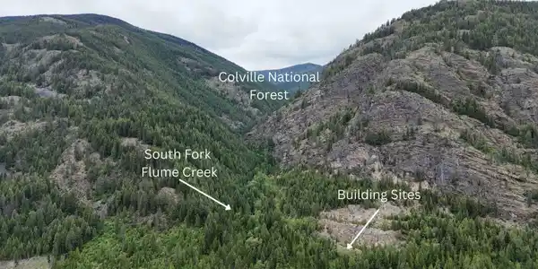Image 4 Image 4