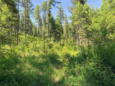 2008-TBD (A-D) Summit Valley Rd