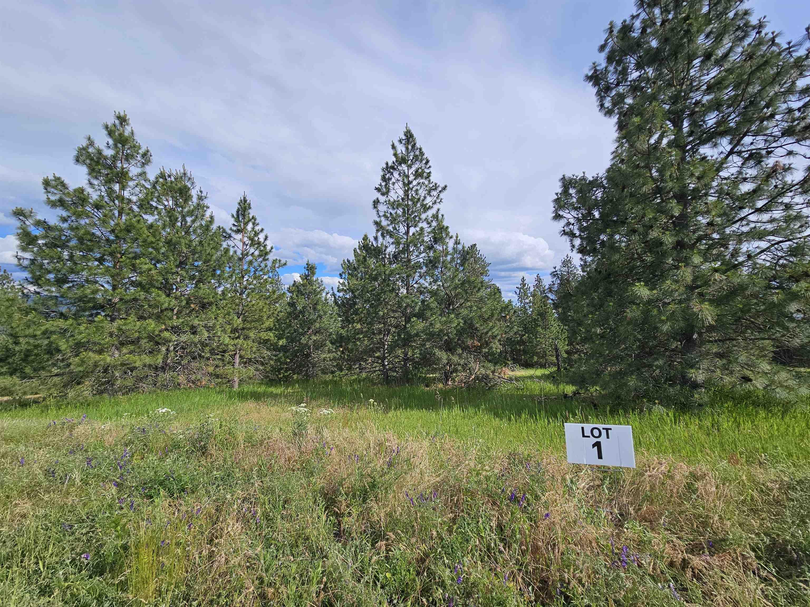 Image 1 Image 1
