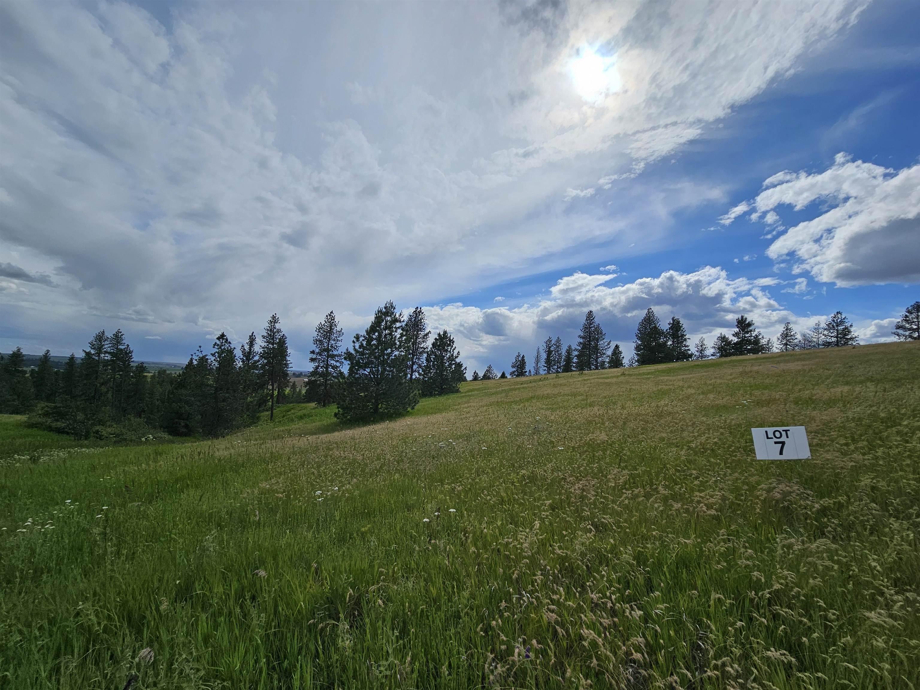 Image 2 Image 2