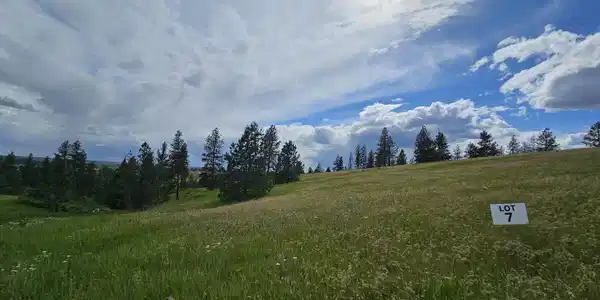 Image 2 Image 2
