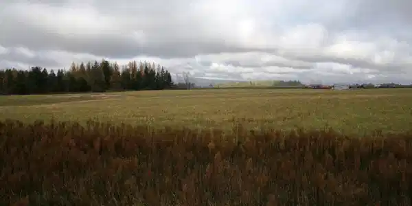 Image 2 Image 2