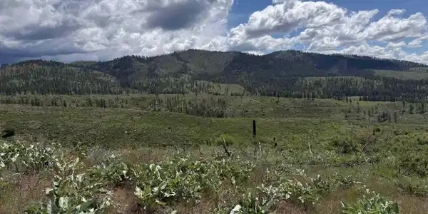 Image 3 Image 3