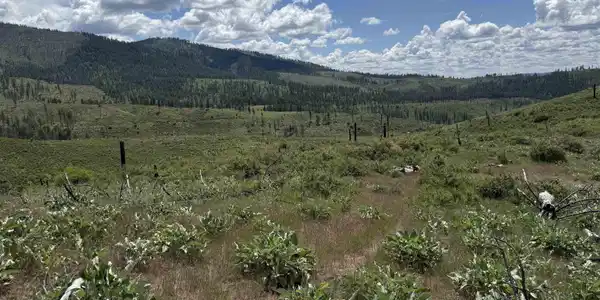 Image 4 Image 4