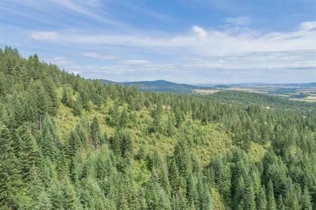 11507 S Alpine Fern Ln