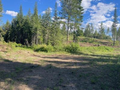 NKN Bead Lake Road Rd