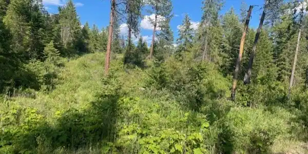 Image 4 Image 4