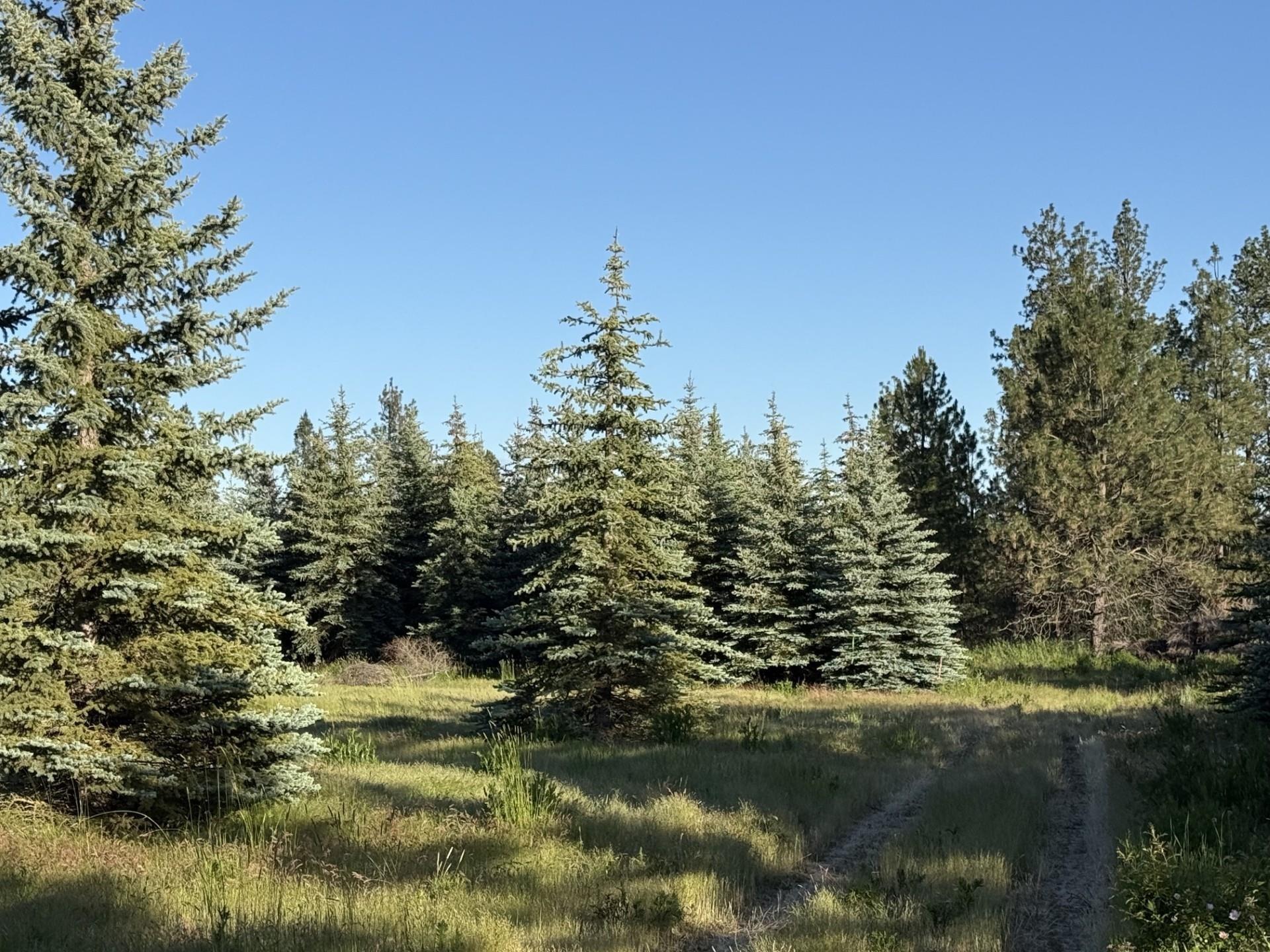 Image 3 Image 3