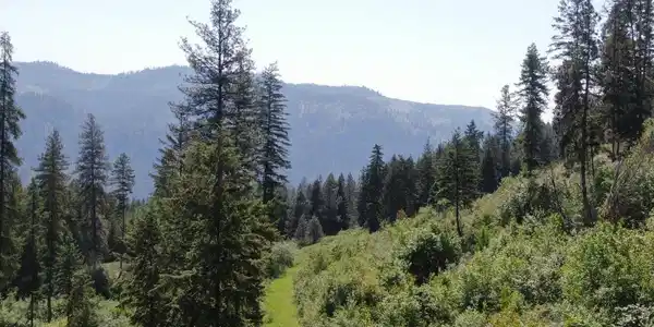 Image 2 Image 2