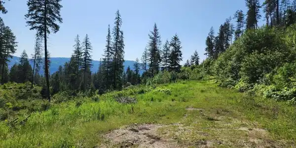 Image 3 Image 3