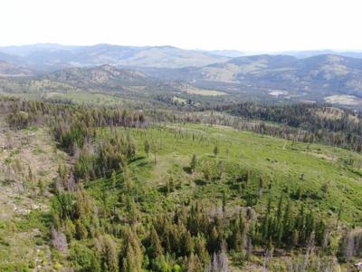 XX Matsen Creek Rd