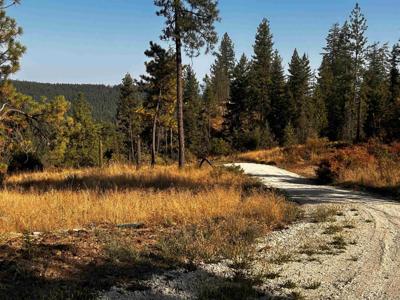 000 Horseshoe Lake Rd